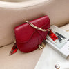 Candy Color Saddle Bag Women's Fashion Silk Scarf Accessories