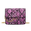 Leopard print chain shoulder bag