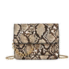 Leopard print chain shoulder bag